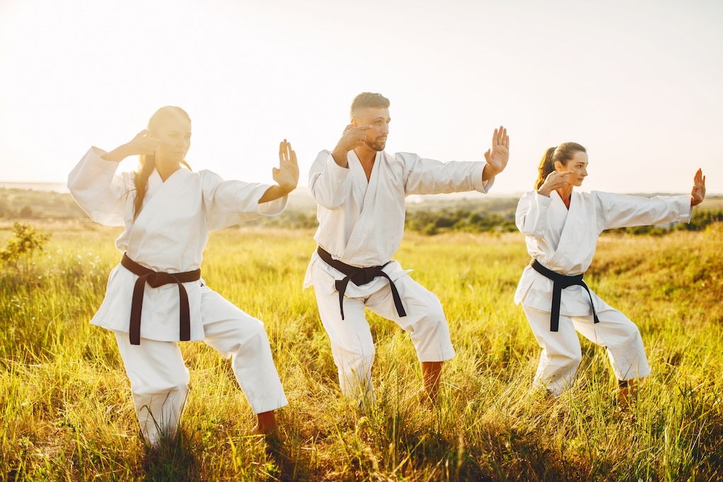 The Martial Arts Factor: Confidence Through Control