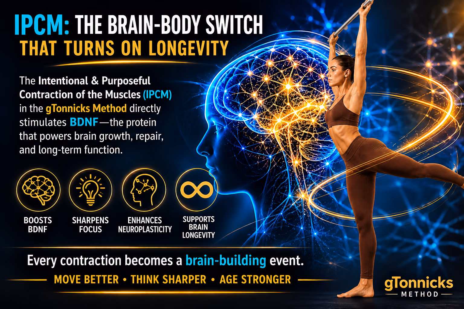 IPCM: The Brain-Body Switch That Turns On Longevity