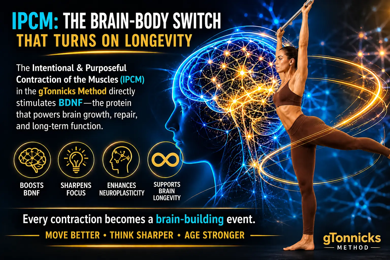 IPCM: The Brain-Body Switch That Turns On Longevity